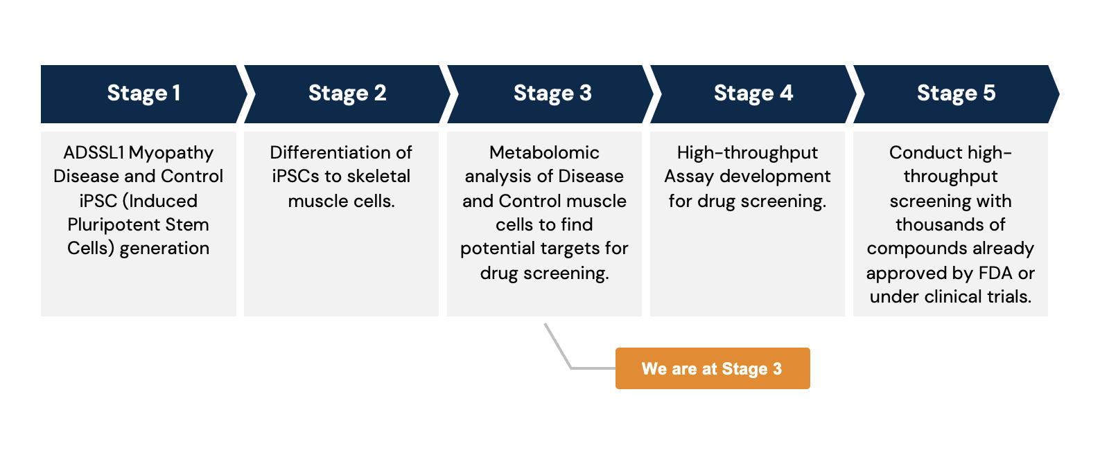 Drug Repurposing