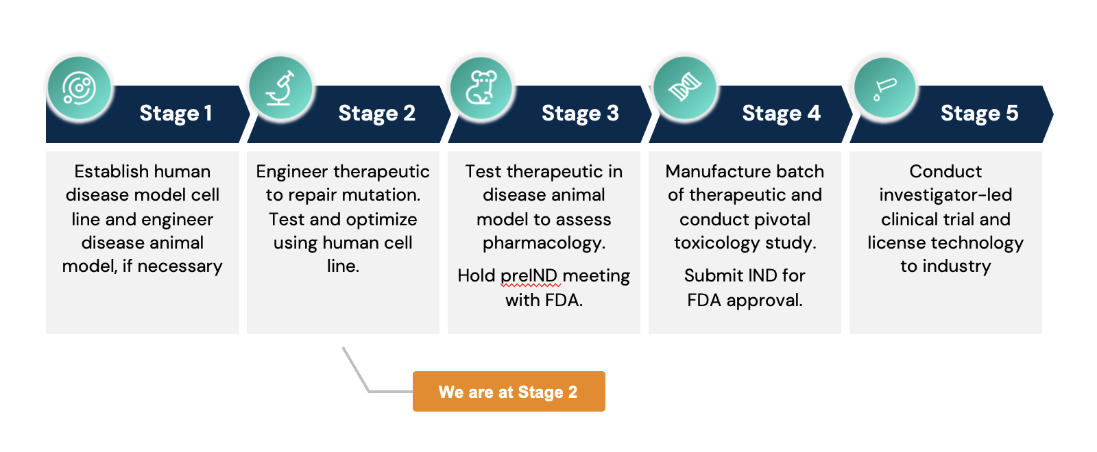 Gene Replacement Therapy